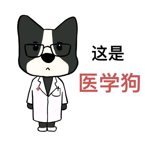 韩笑半步癫.