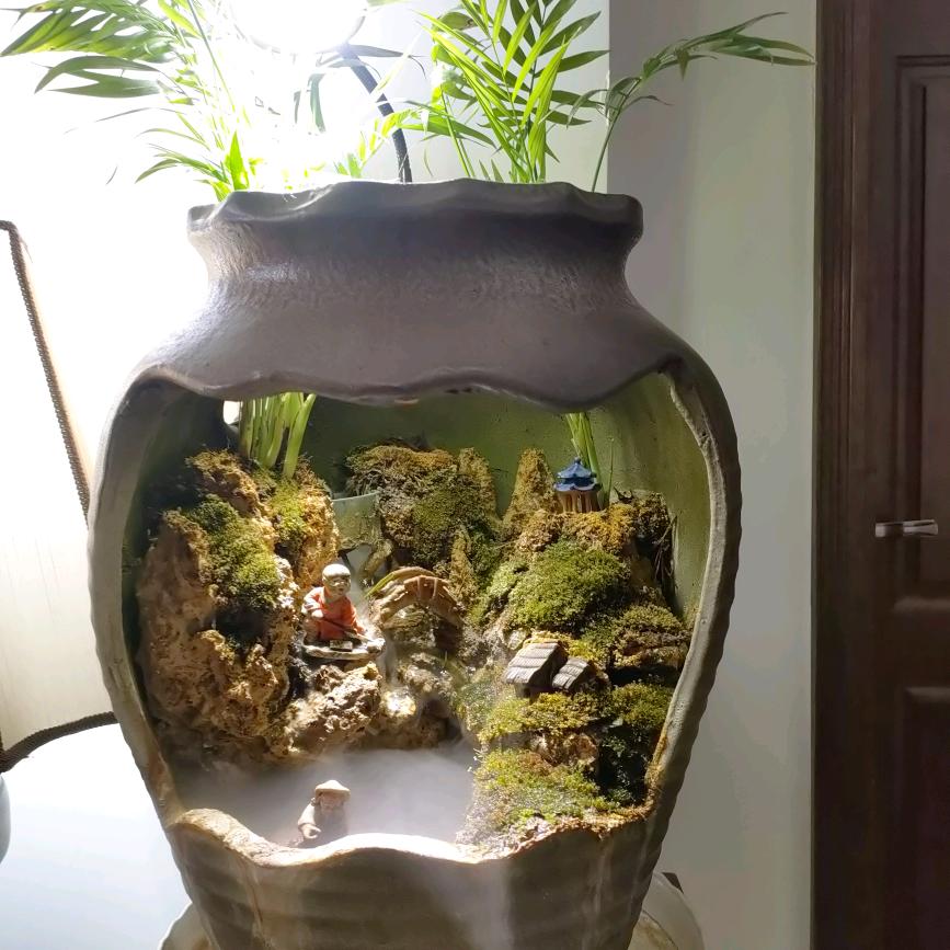 花瓣养花