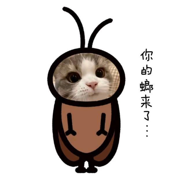 熬不完的夜