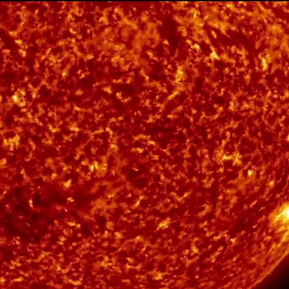 尹老师的粉丝希希