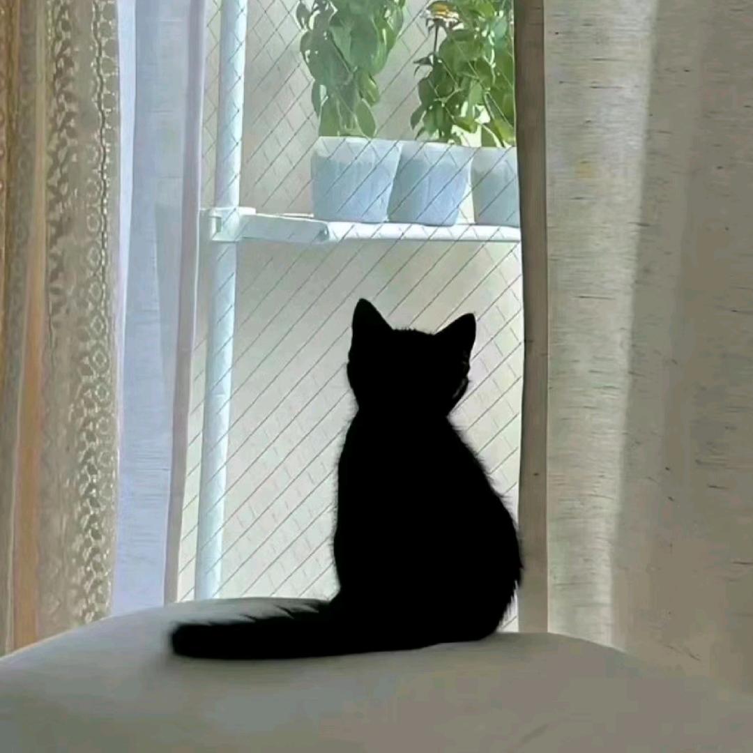 喜悅