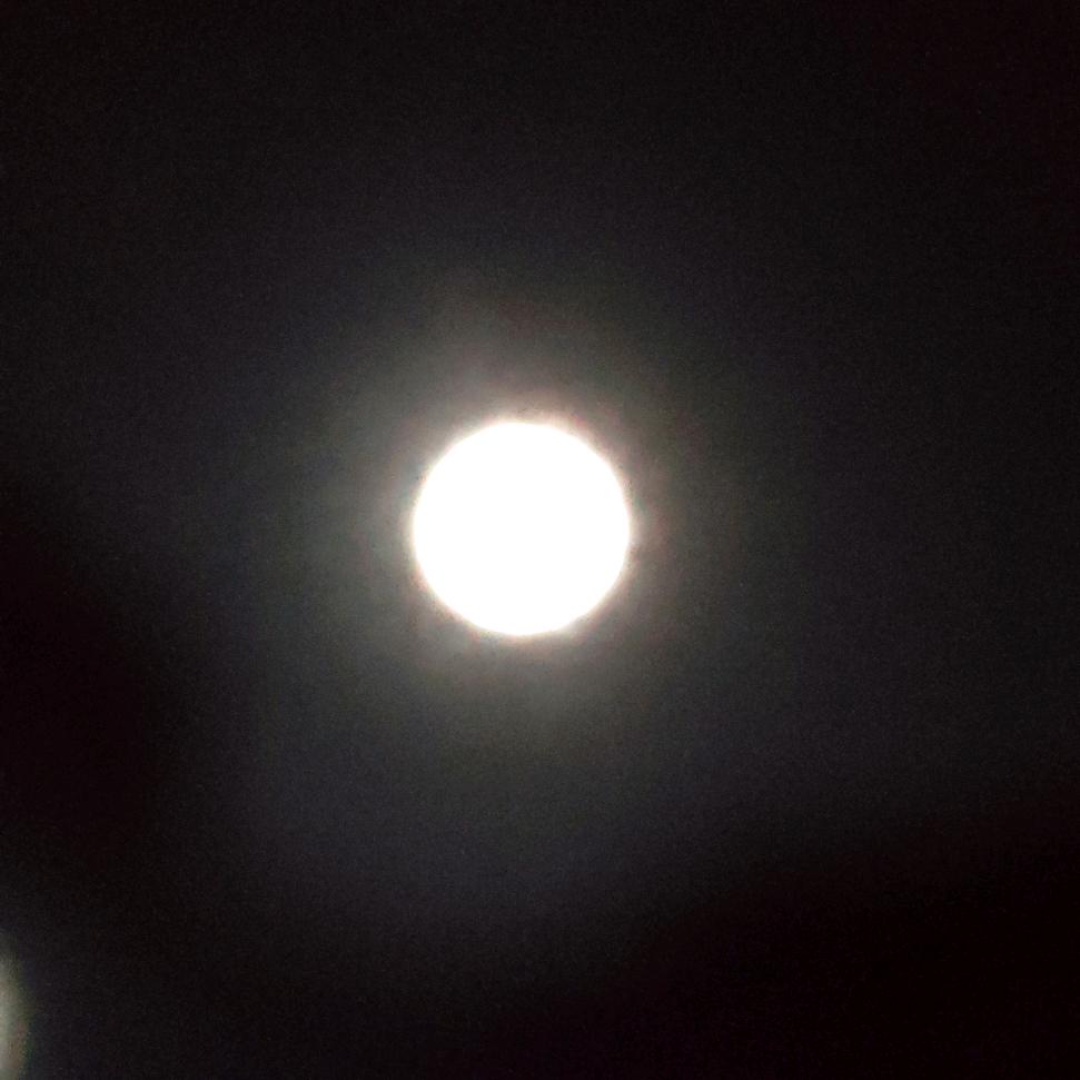 盛夏初春