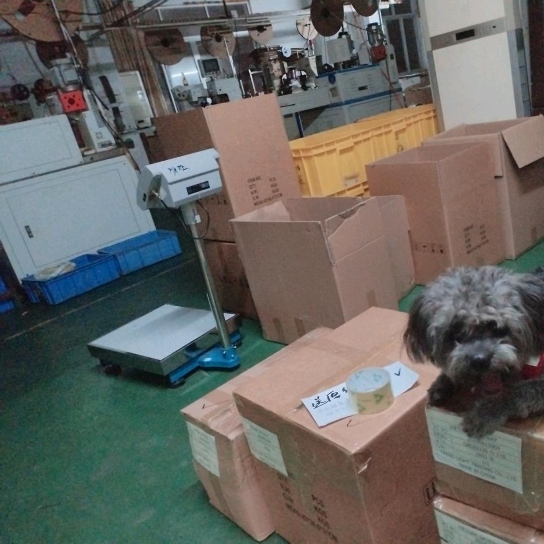 老二 （专业定制生产线束加工厂）