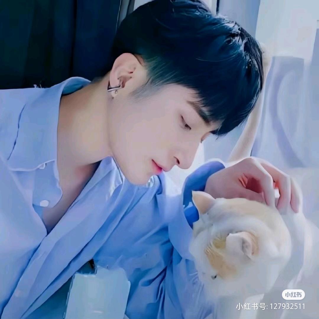 ༊無  煙