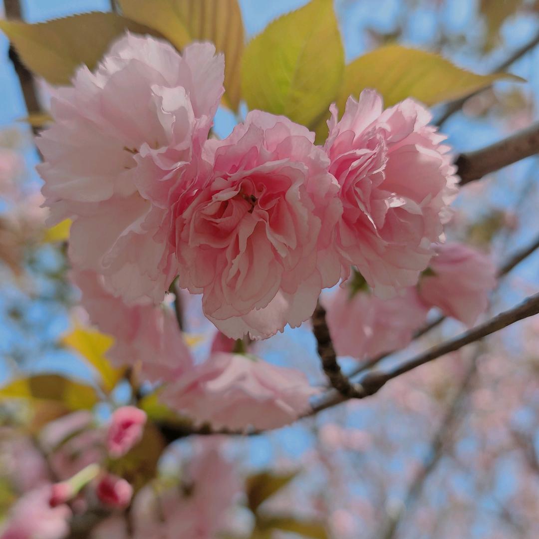 陈老师聊三餐