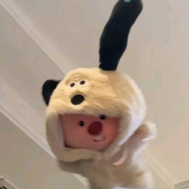 枝ᶻ绪-