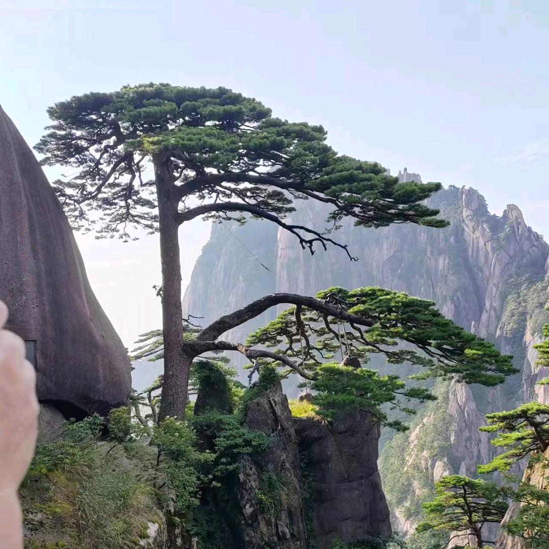 高富帅