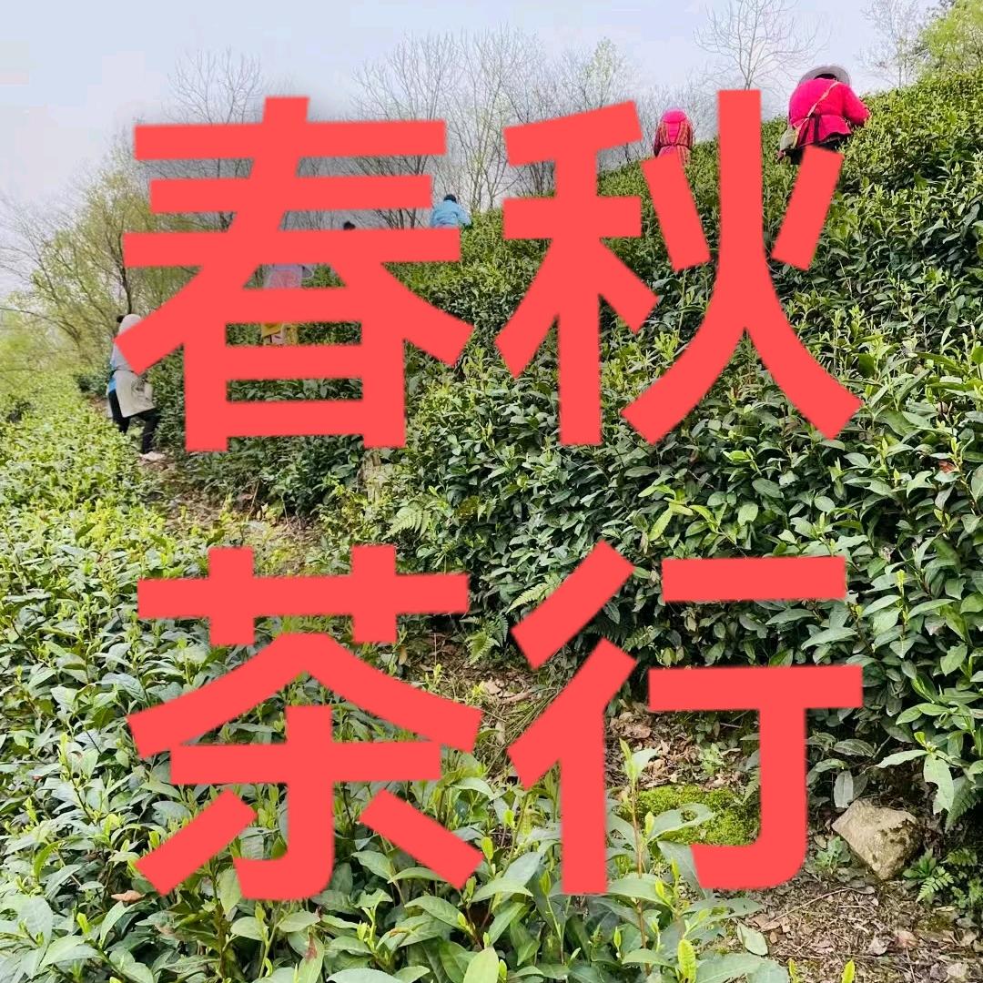 襄城县春秋茶行