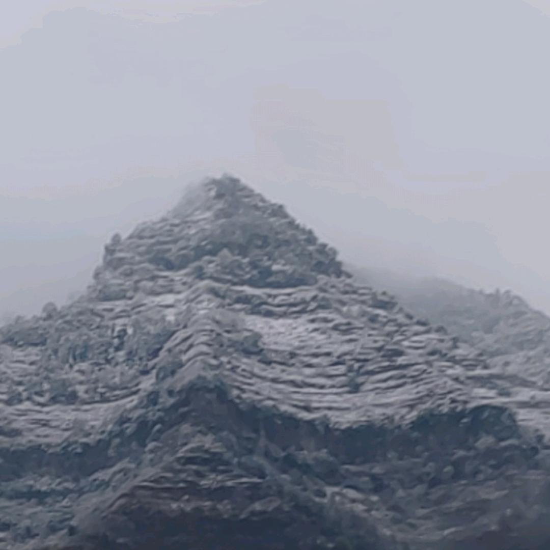 随.缘