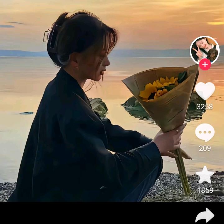 丁香花