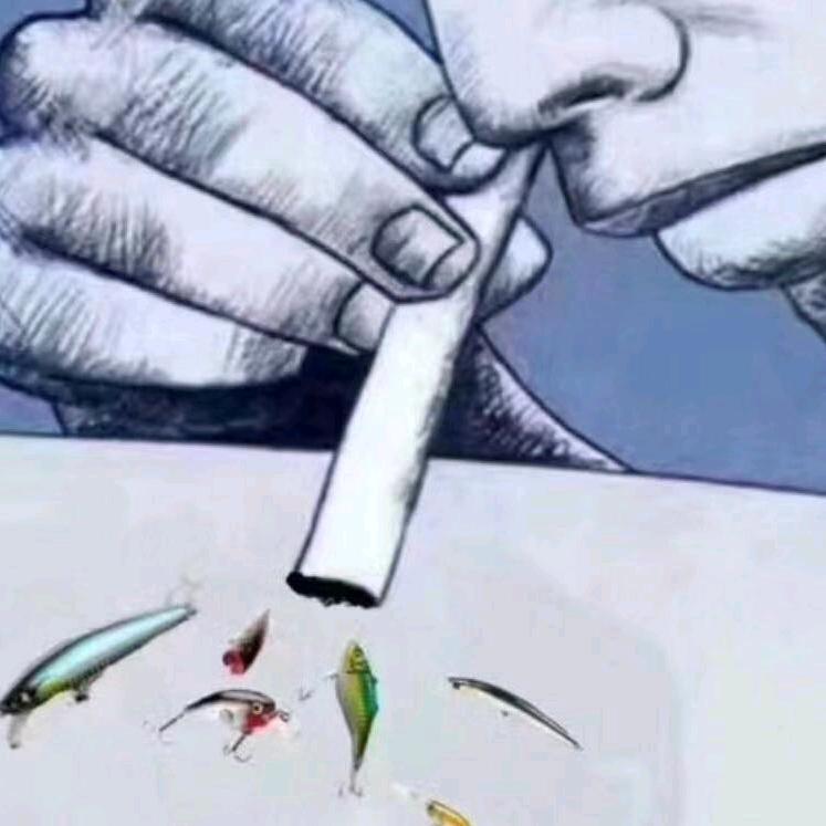 山不见我