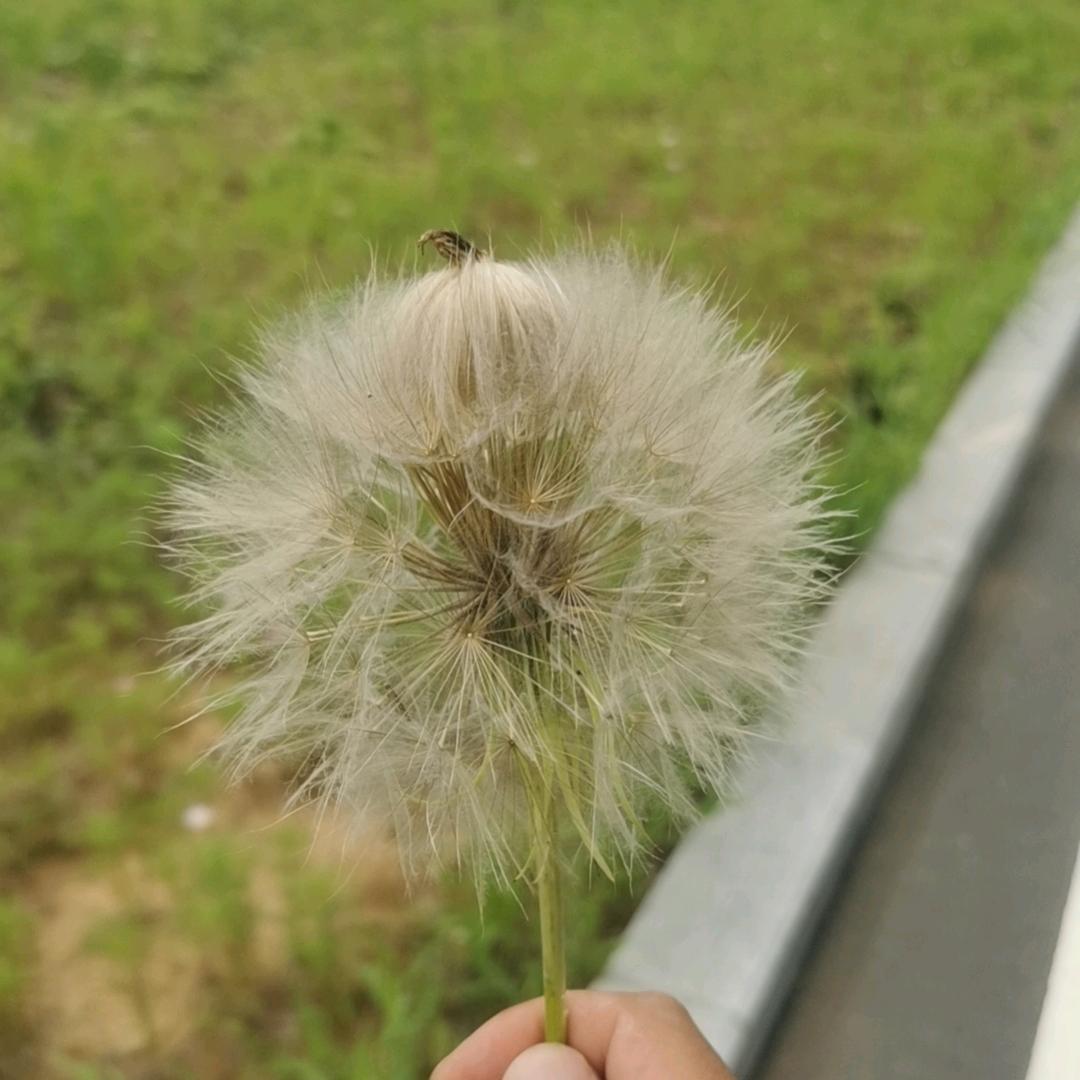 过眼云烟
