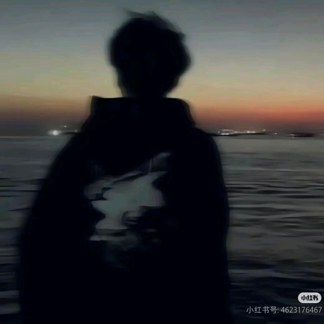 梦白鹭