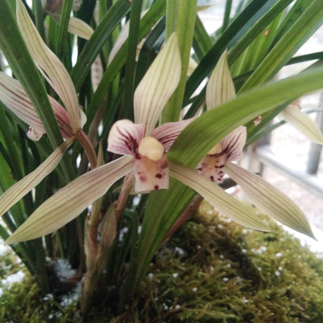 ～渔 身 有 你 $