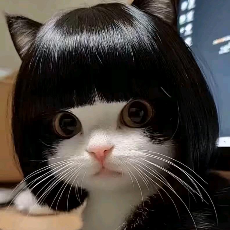 ain