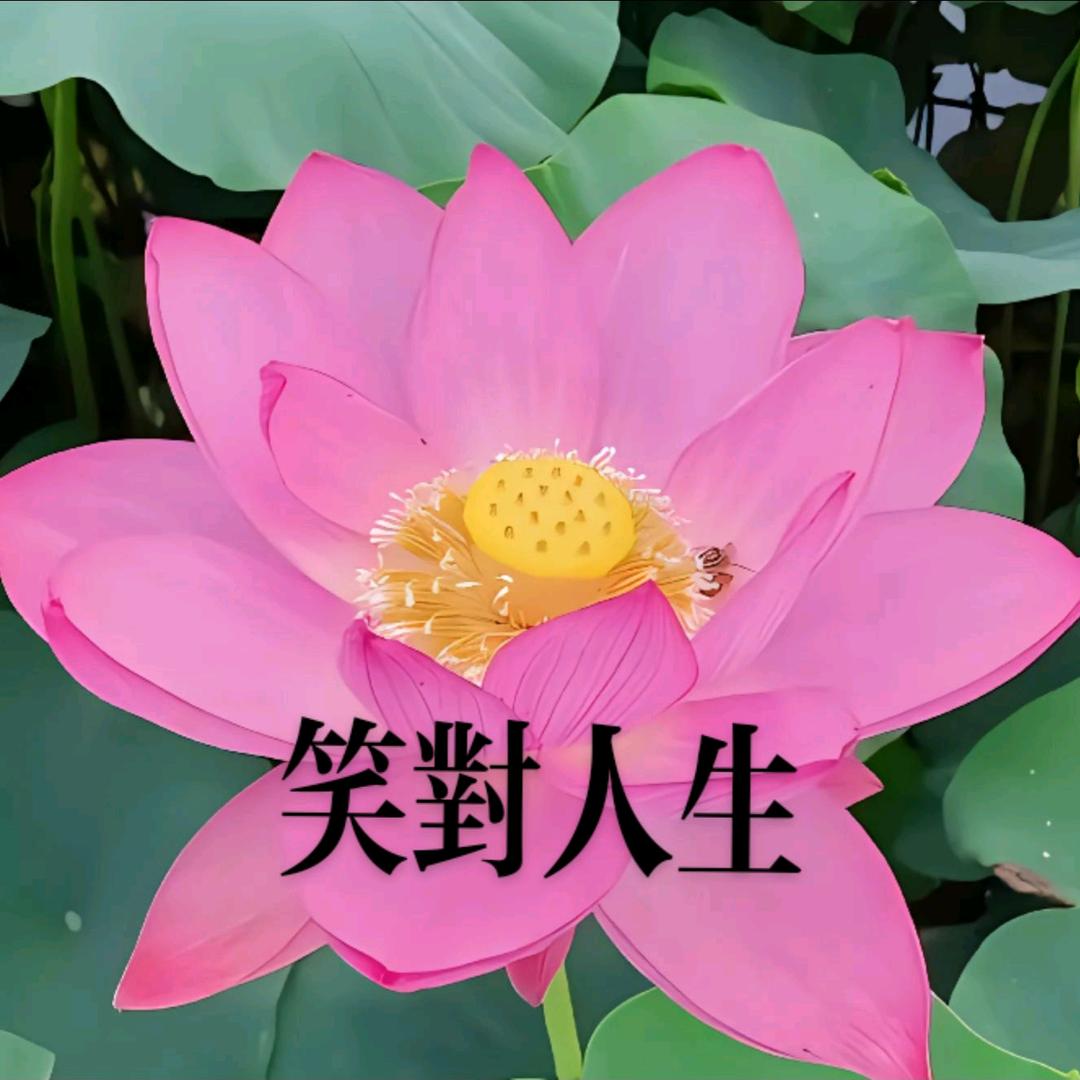 笑对人生