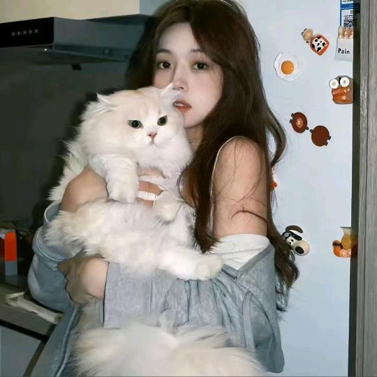 哇哒西蛙