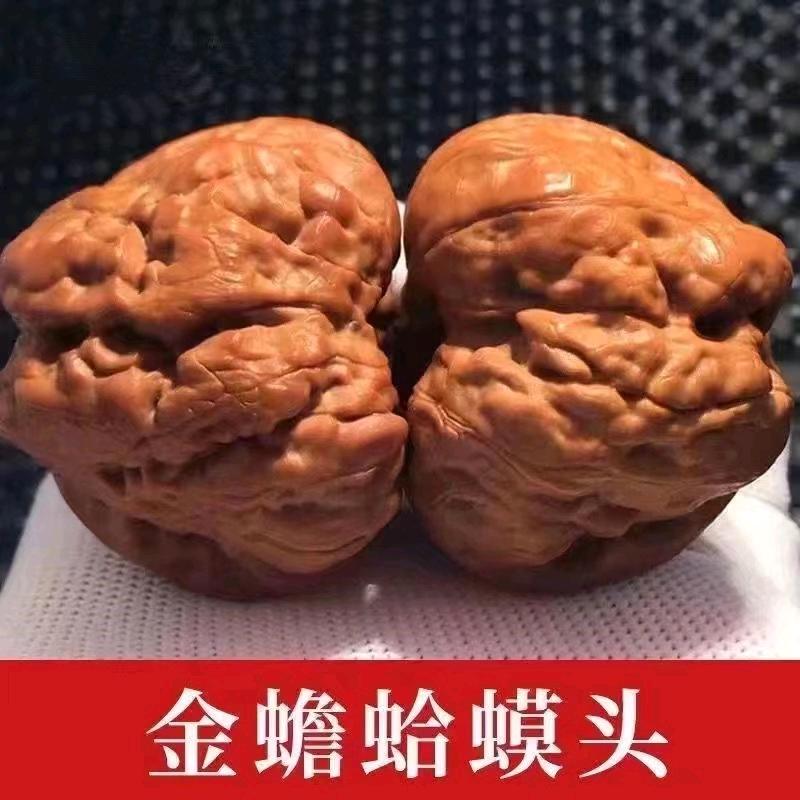 Zjr0207zjh0102