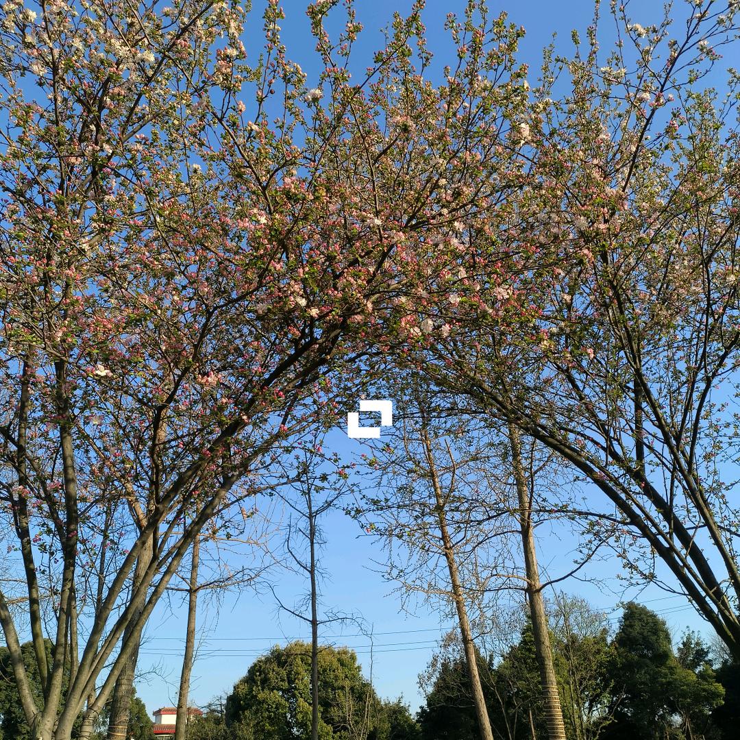 ღ᭄💞木易💕