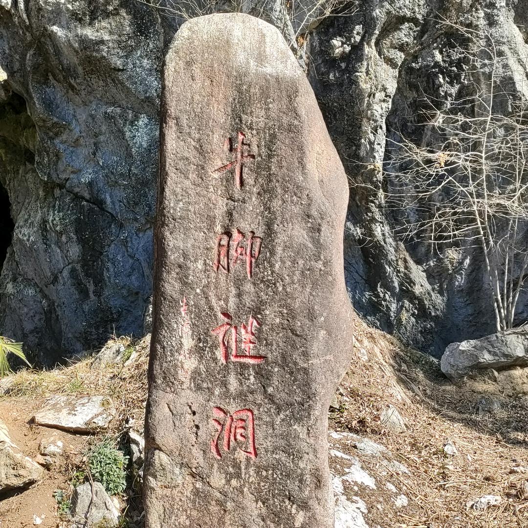 中震旅游