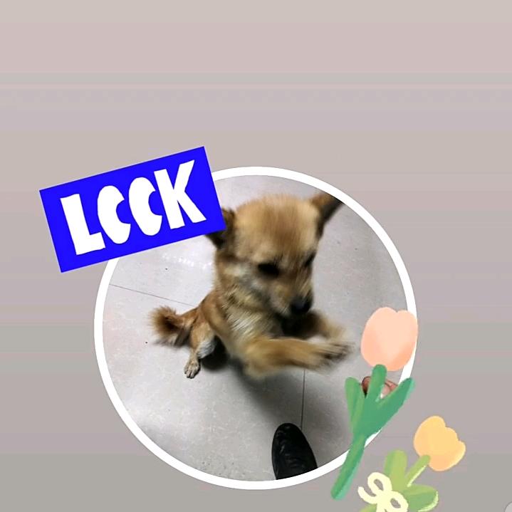 一闫哥