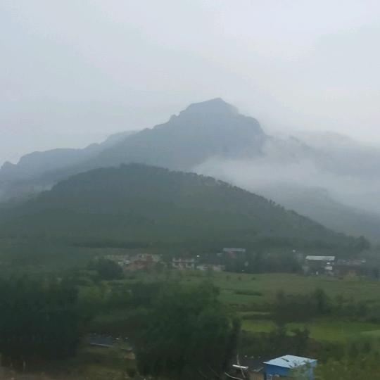 卫辉黑山羊走地鸡