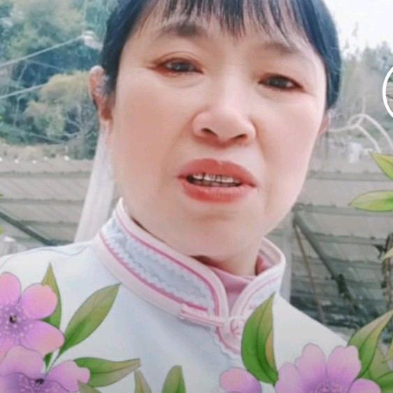 一心一意(晚上六点十分开播)