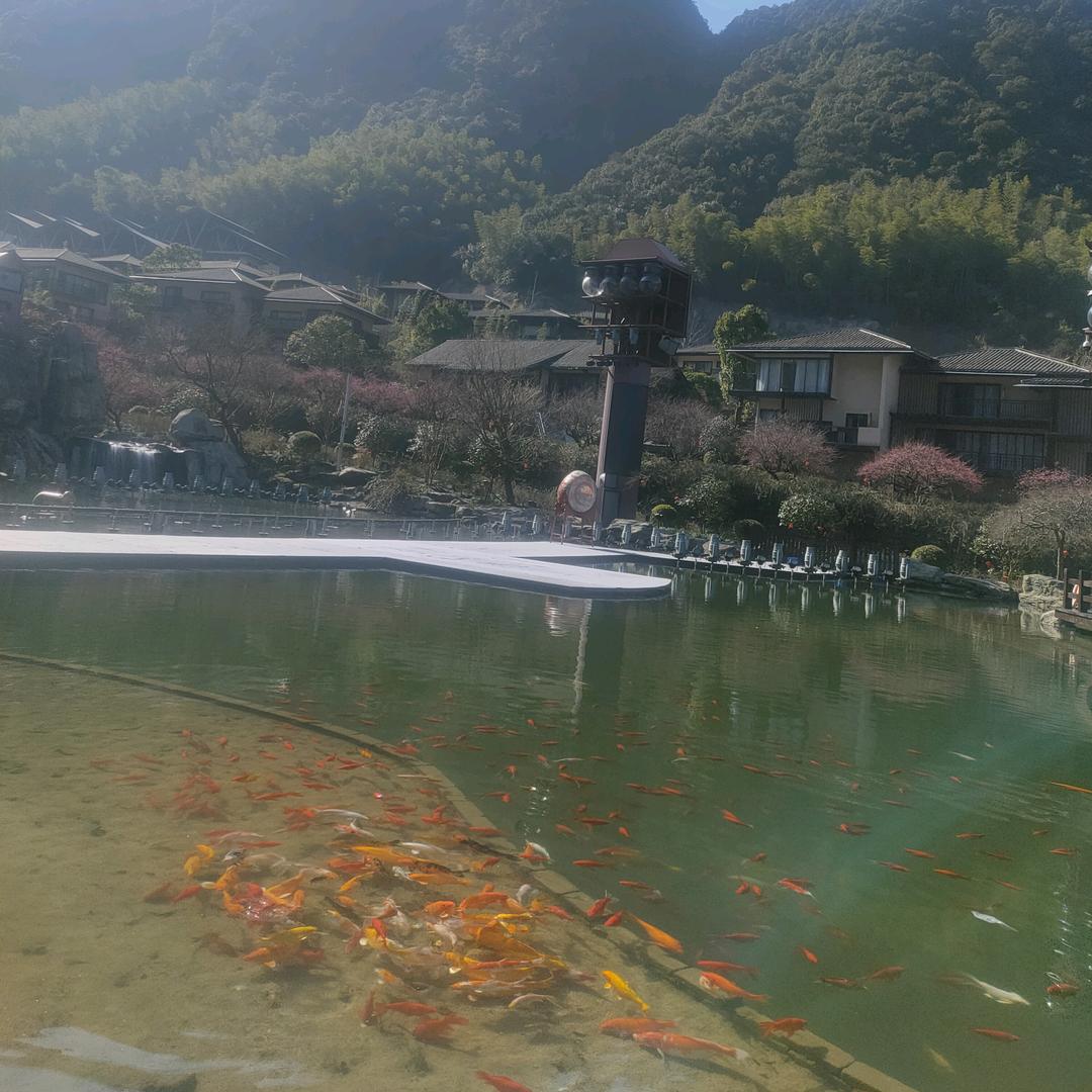 翔凯