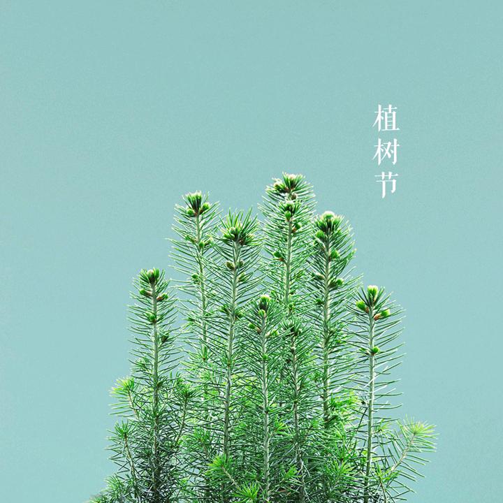 甚是年华