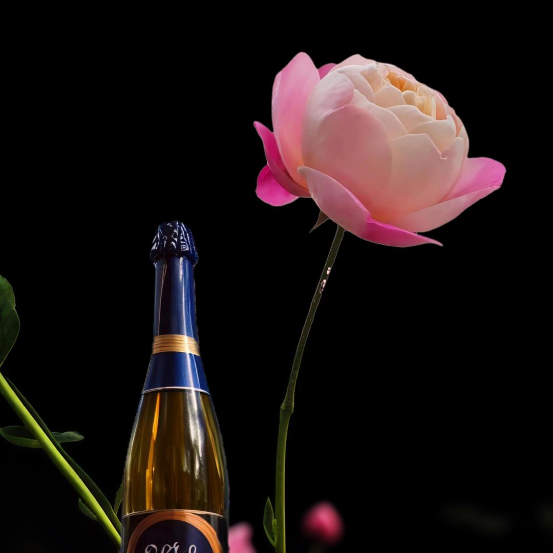 秋风拂动芦苇氹