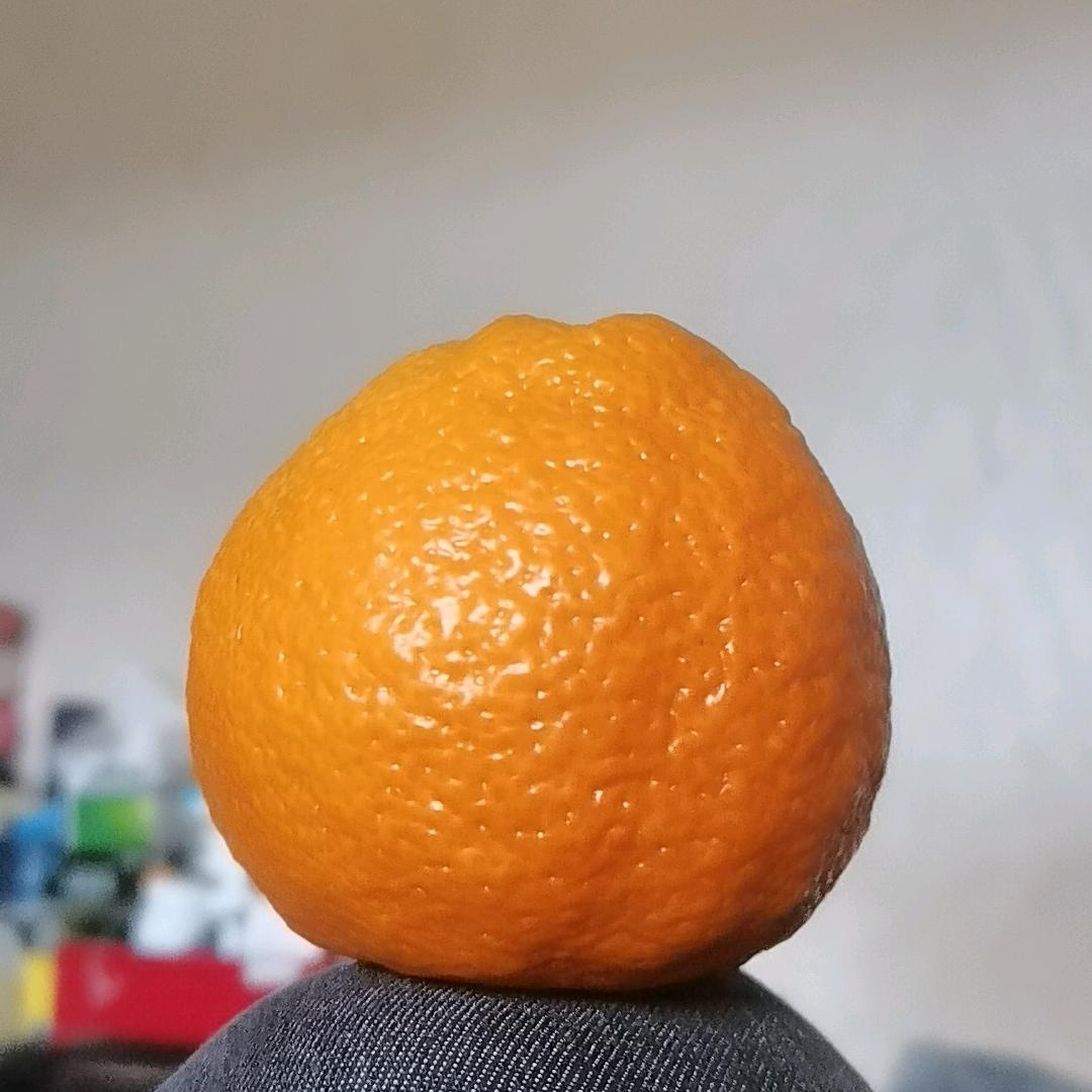 胡照明头像