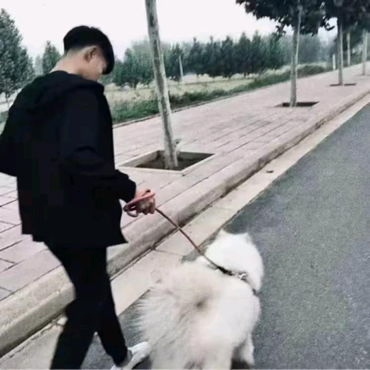 Li