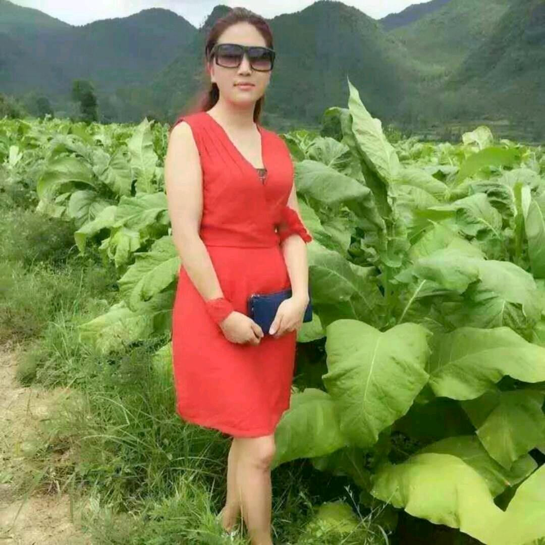 🌹🌷爱号旅游风景🌷🌹