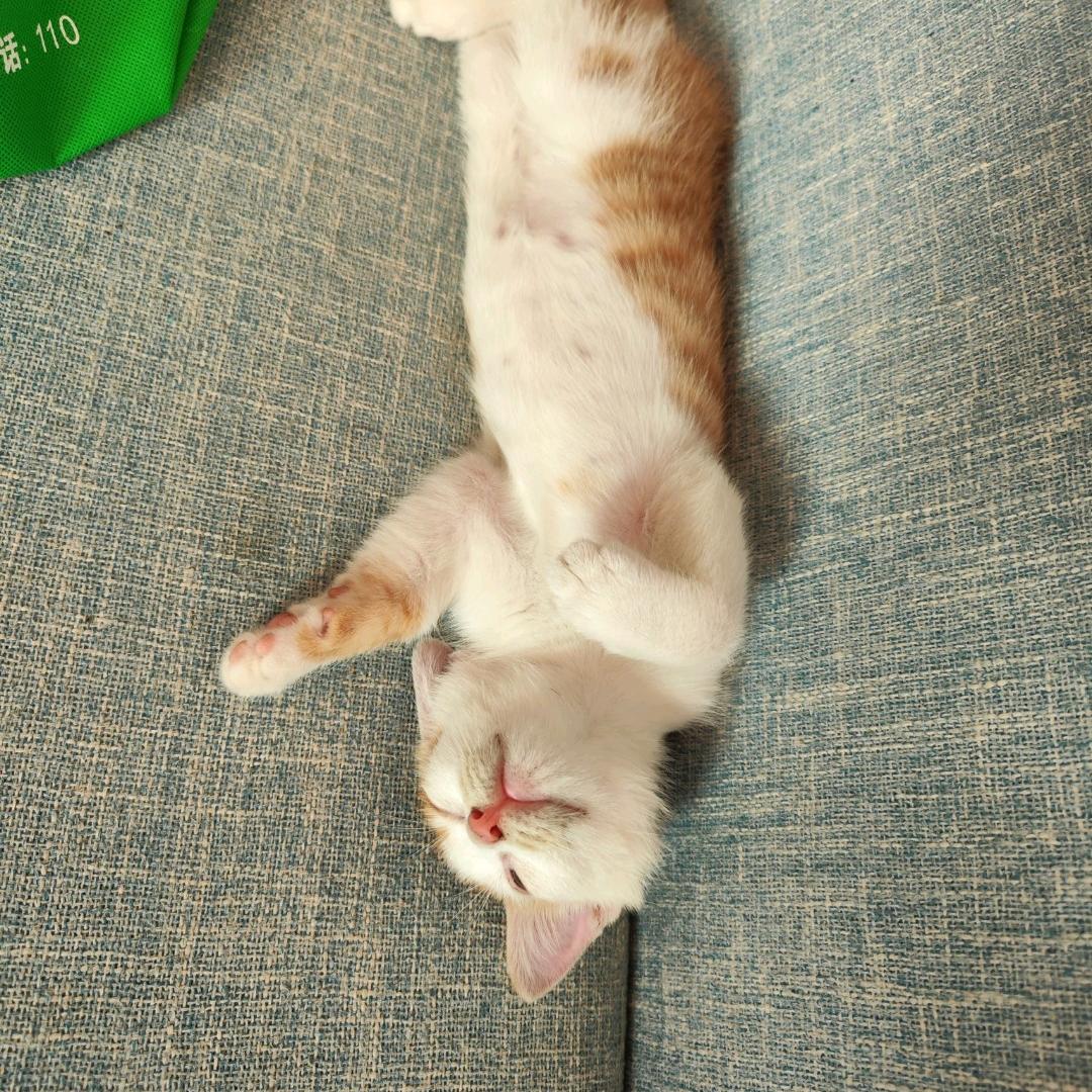 小忙而已