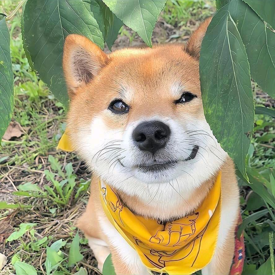 Ejxn头像