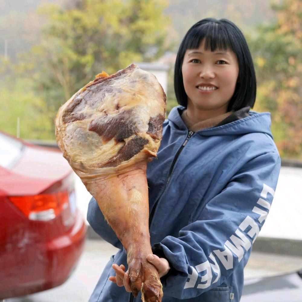 鸿雁很老实(跑山记)