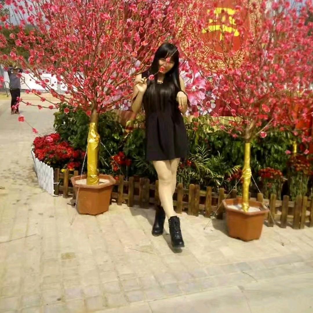 火龙果