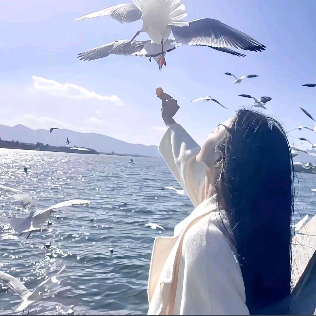 彩影百货好物