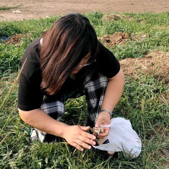 彩霞爱生活