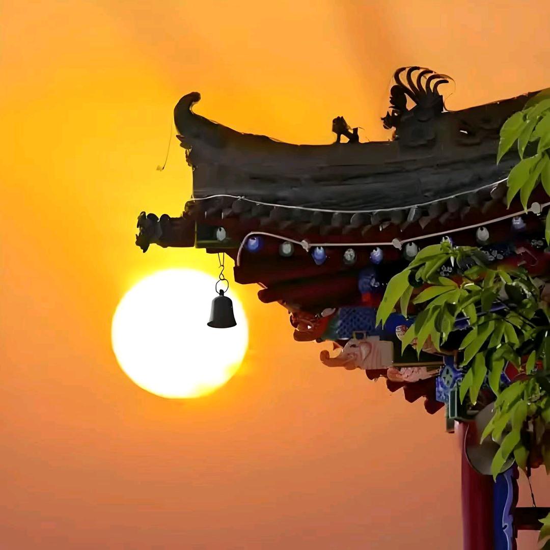 来了就是深圳人