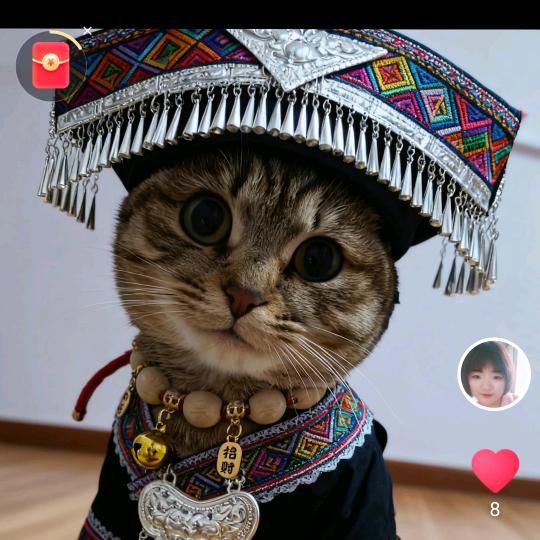 跟屁狸花的日常