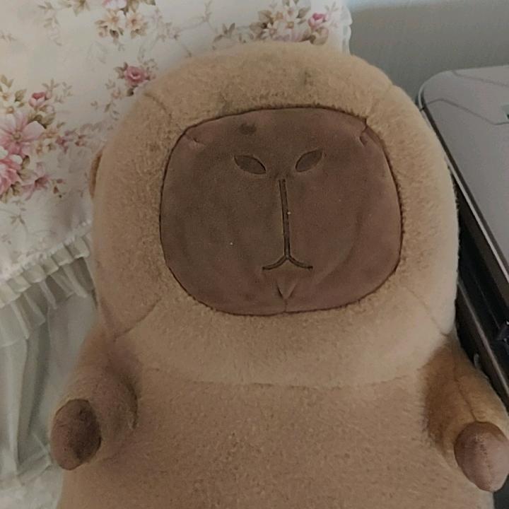 ￥……