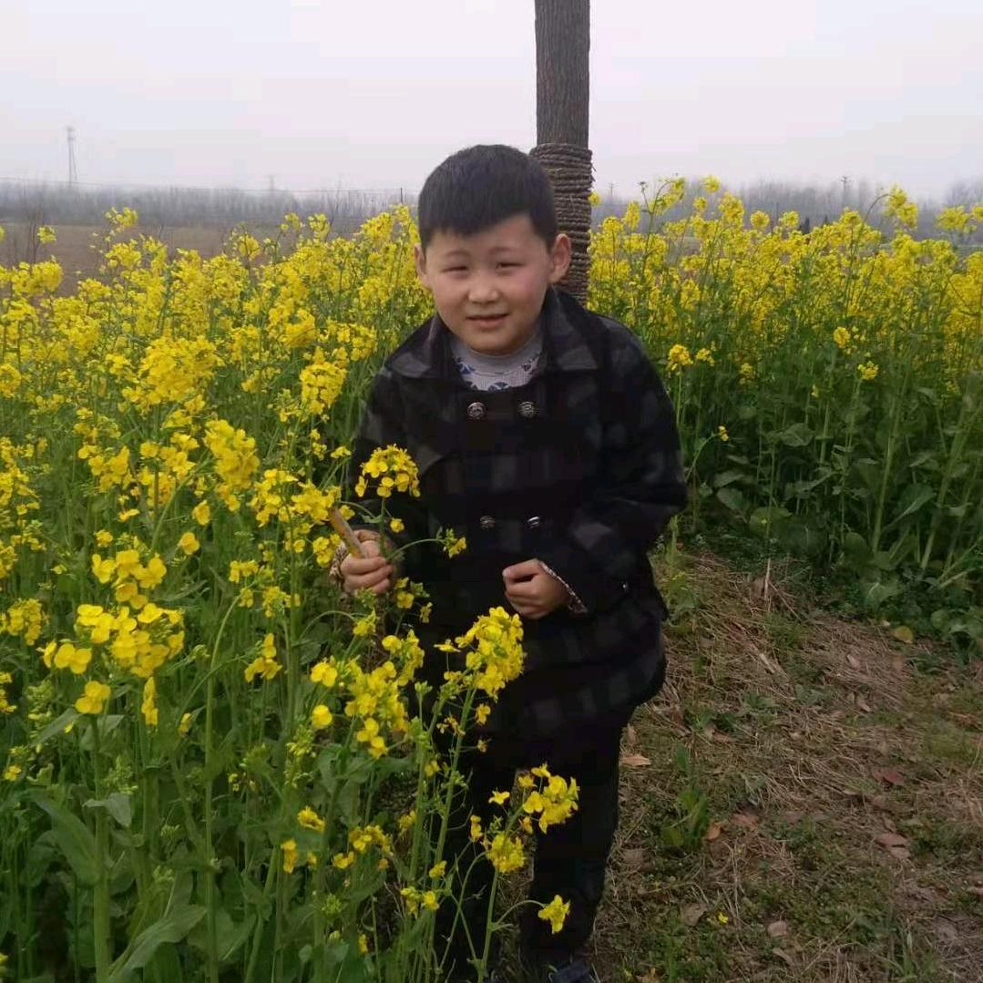 调皮丫头(爱玩)