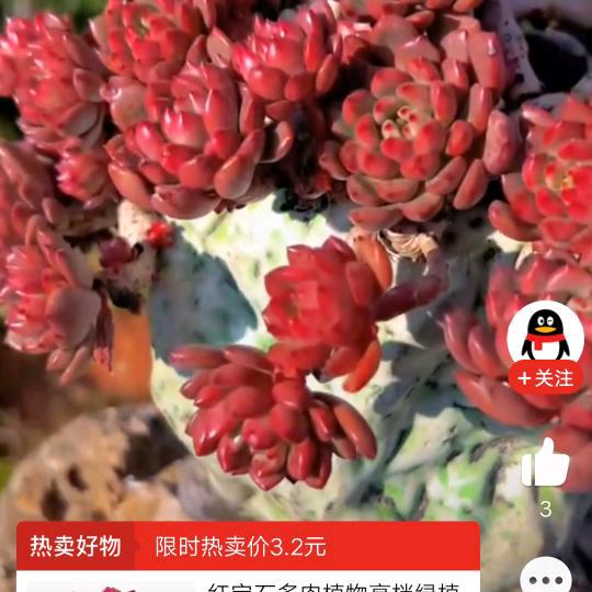 万般随缘