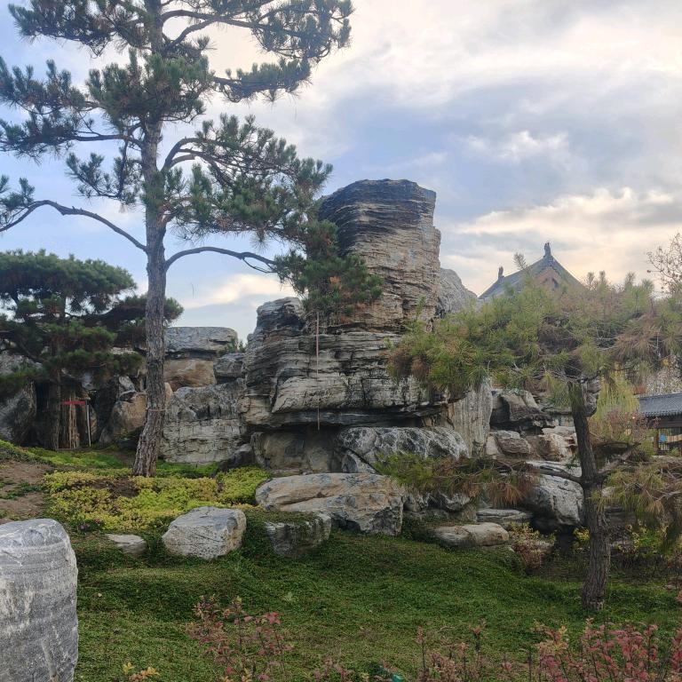 青葱岁月