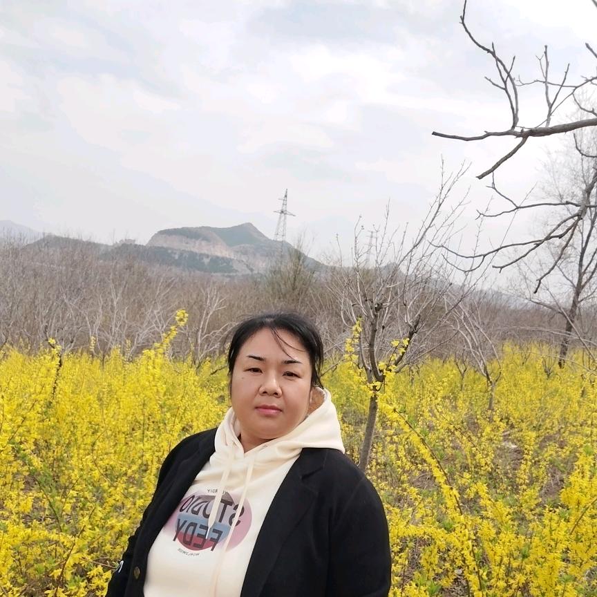 Y头的妈