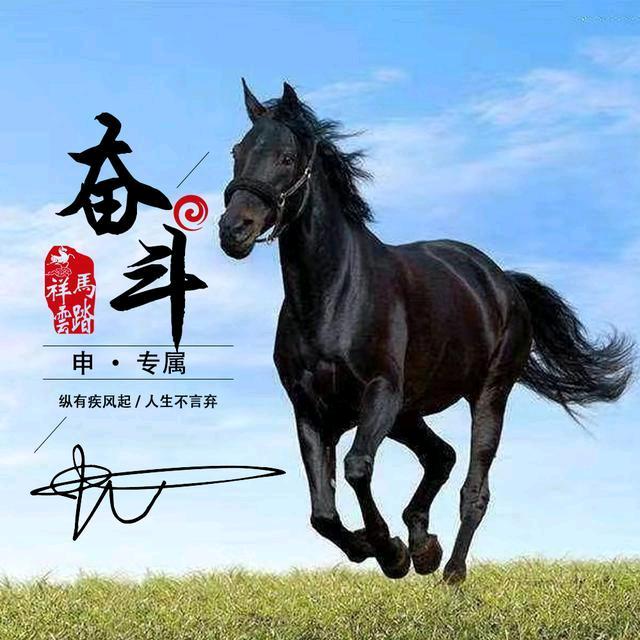 森哥