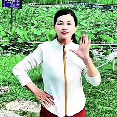 琴姐