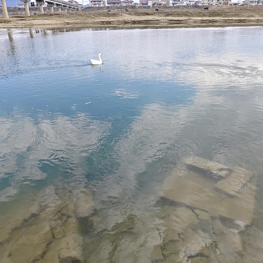 知足常乐