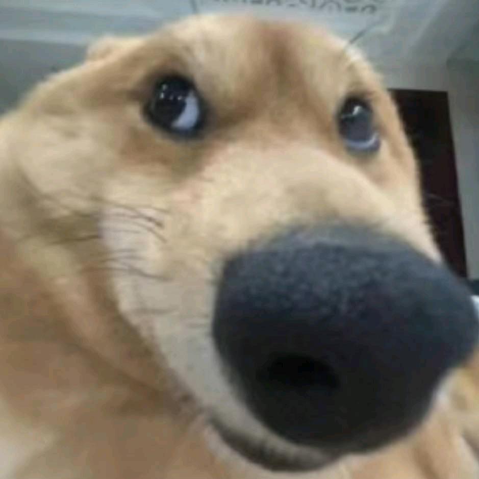 EZ